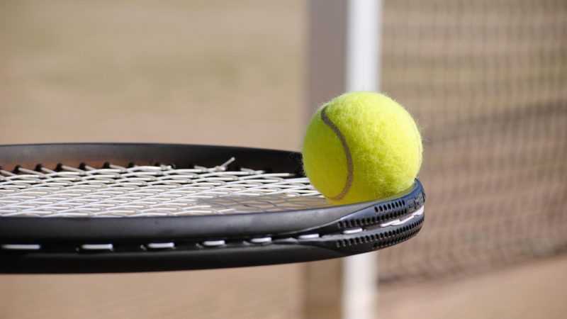 ATP 함부르크 오픈: 즈베레프, 완벽한 출발… 루블레프도 1회전 통과