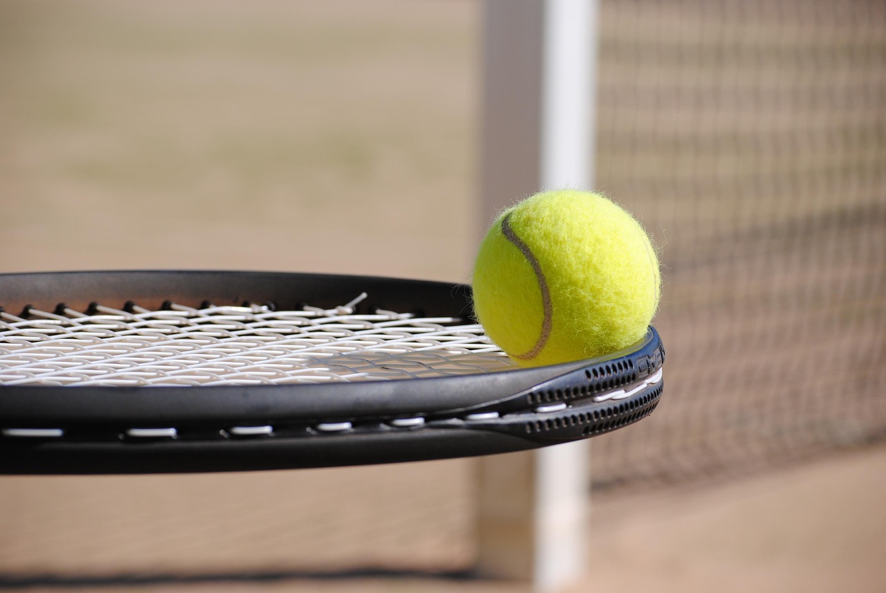 ATP 함부르크 오픈: 즈베레프, 완벽한 출발… 루블레프도 1회전 통과